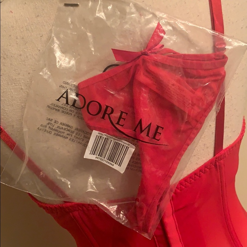 NWT Crimson Sheer Corset w/Garters & Panties - Picture 4 of 7